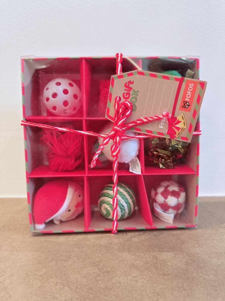 Christmas Cat Toy Gift Box